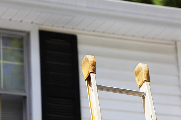 Best Insulated Siding Installation  in Beulah, ND